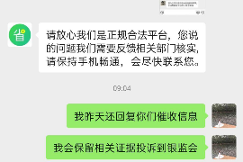 灵宝灵宝的要账公司在催收过程中的策略和技巧有哪些？